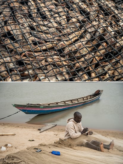Climate change is increasing the risk of flooding in Nigeria, and making life more difficult for these fishermen as well. Between June and November last year, 1.5 million Nigerians had to flee their homes because of flooding and some 500,000 hectares of crops were damaged. Nomadic fishermen adapt to changing rainfall cycles, anticipating or postponing their movements along the Niger River depending on its flow and weather conditions. In the photo, a fisherman fixes his net on the temporary island created in Igdebor, called Nkpologwu, last January.