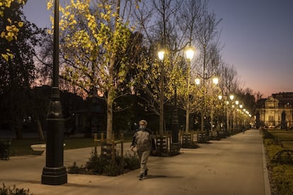 Las luces navideñas han alterado el periodo vegetativo de unos chopos frente a la Puerta de Alcalá. En estas fechas ya deberían haber mudado la hoja, pero lo ha impedido la temperatura que alcanzan dichos adornos durante horas de encendido.